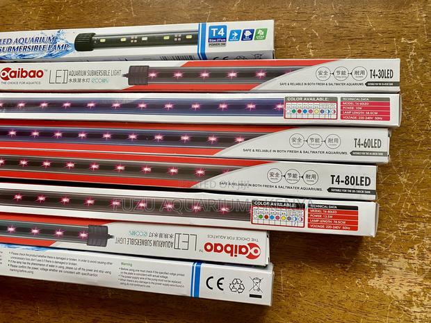 Color Your Tank With Led Submersible Aquarium Lights Magic