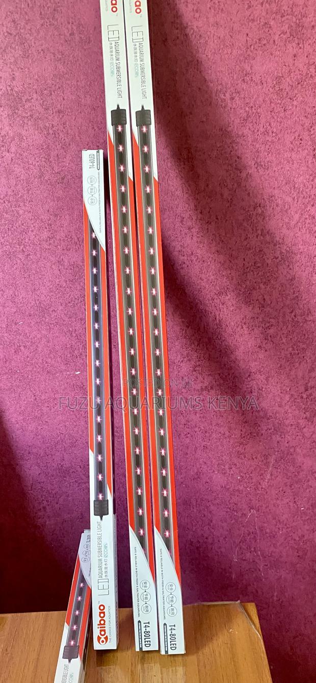 Dive Into Light – Led Submersible Options! - main view