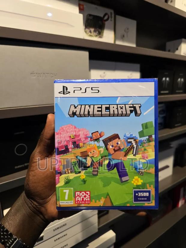 Playstation 5 Minecraft