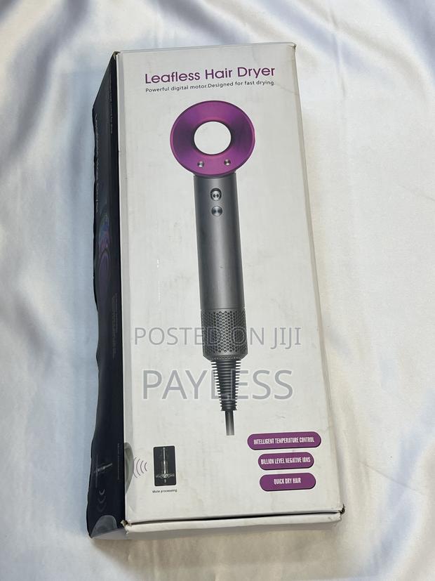 Leafless Hair Dryer - main view