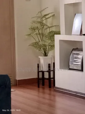 Elegant Home Plant, Vase and Stand