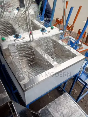 Double Deep Fryers Steel Body Deep Fryers