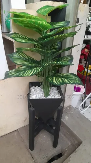 Black Vase And Stand With Plant