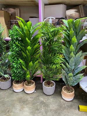 Unique Long Bonsai Flowers - thumbnail 2