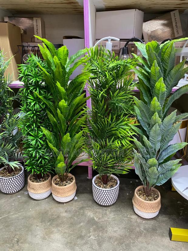 Unique Long Bonsai Flowers - main view