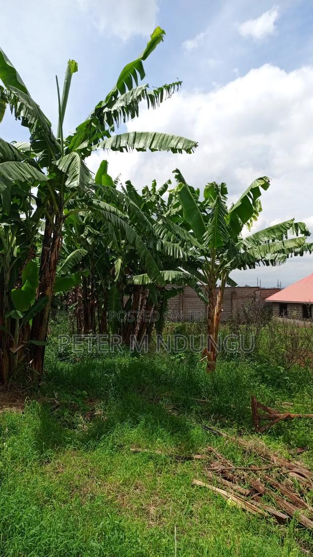 Prime Land on Sale,1/2 Acre,Touching Kiambu-Githunguri Road - thumbnail 3