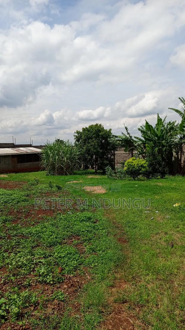 Prime Land on Sale,1/2 Acre,Touching Kiambu-Githunguri Road - thumbnail 4