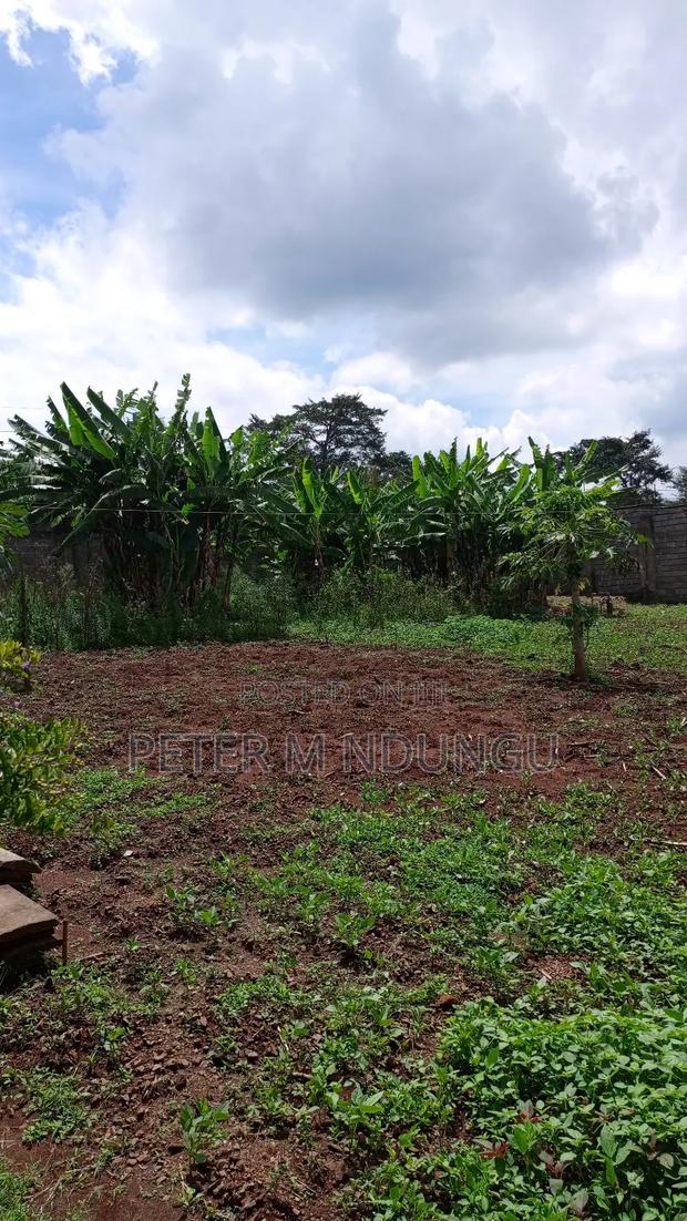 Prime Land on Sale,1/2 Acre,Touching Kiambu-Githunguri Road - thumbnail 5