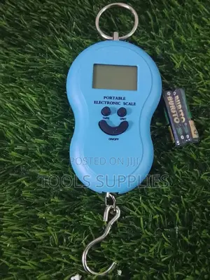 Portable Weighing Scale/Electronic Weighing Scale