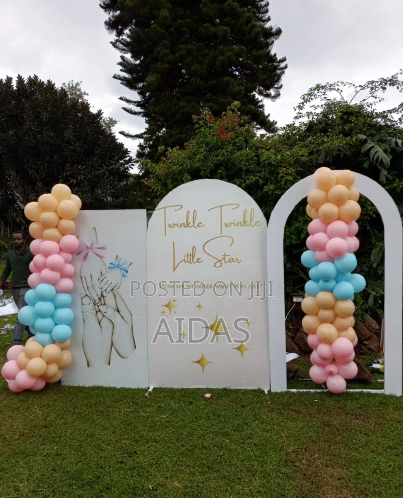 Boy or Girl Gender Reveal Celebration