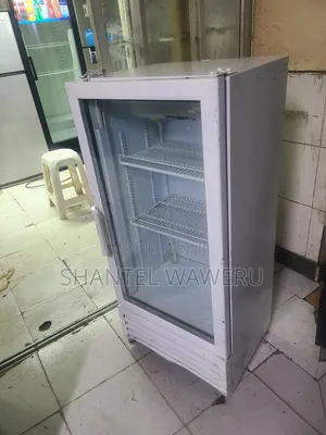 Showcase Min Shop Display Refrigerator