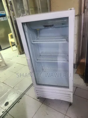 Showcase Min Shop Display Refrigerator