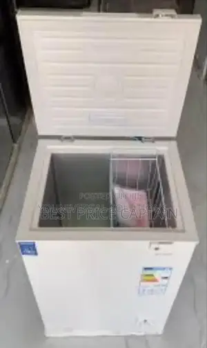 Ailyons Freezer 100l