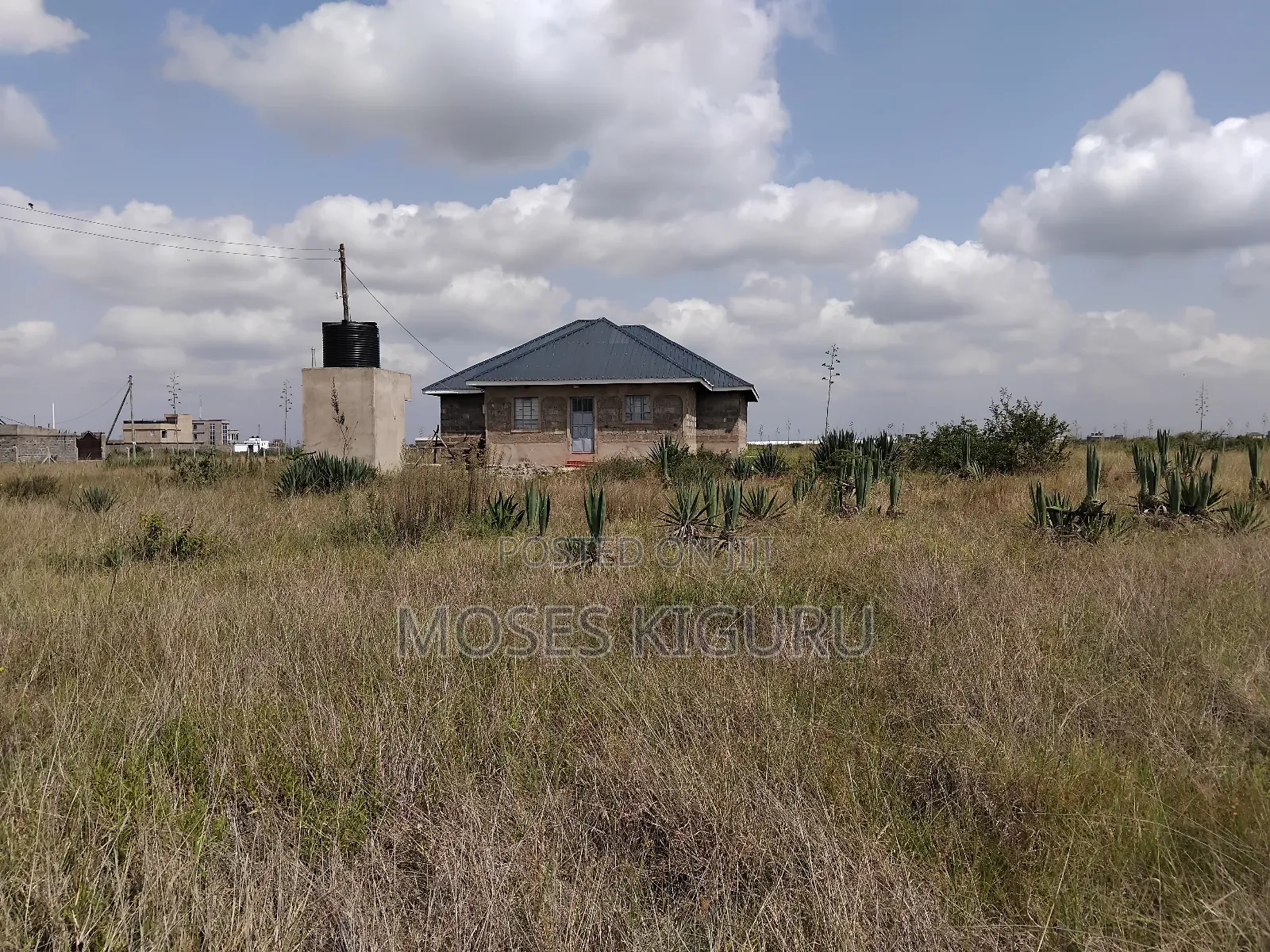 Juja, Mastore 50x100 Plot.