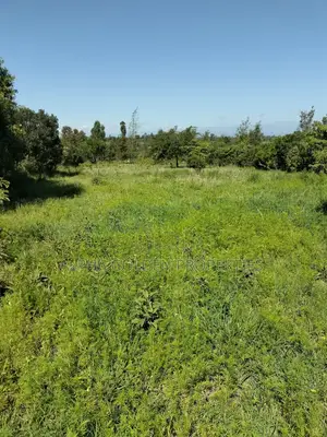 Land 1 Acre Airstrip