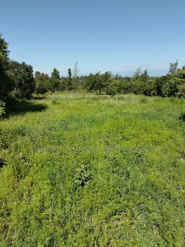Land 1 Acre Airstrip - thumbnail 2
