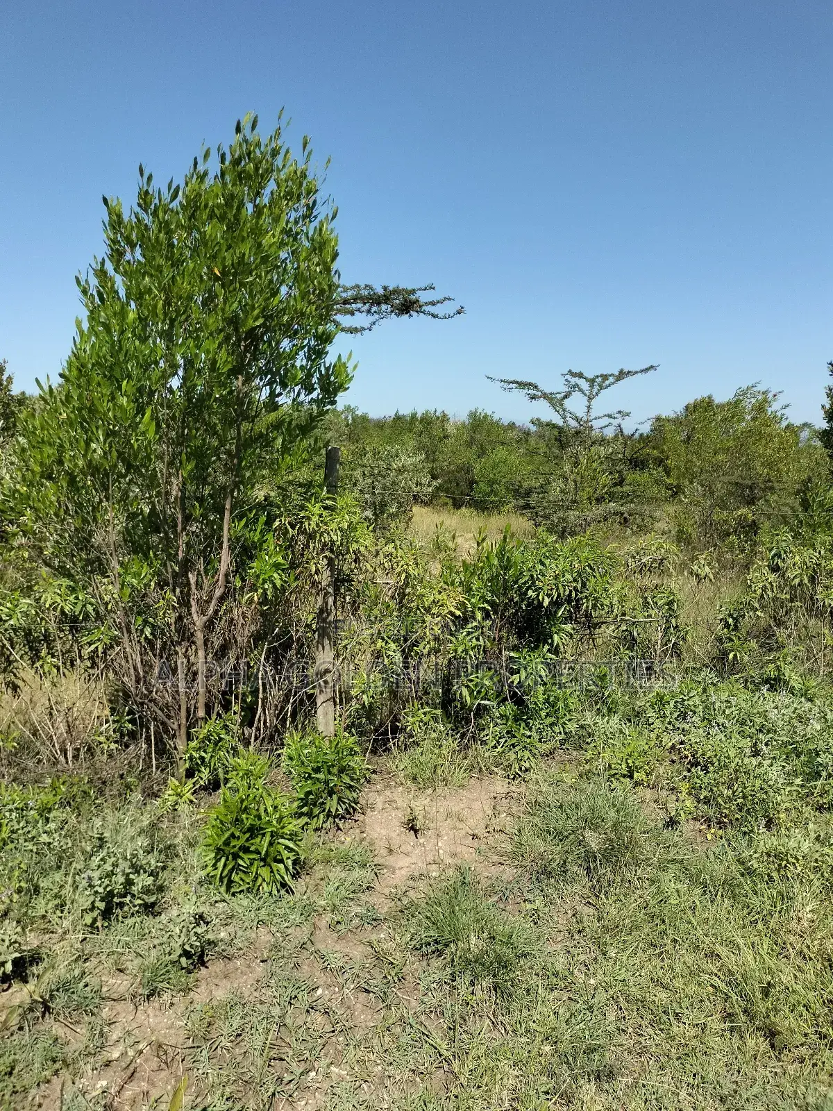 Land 1 Acre Airstrip