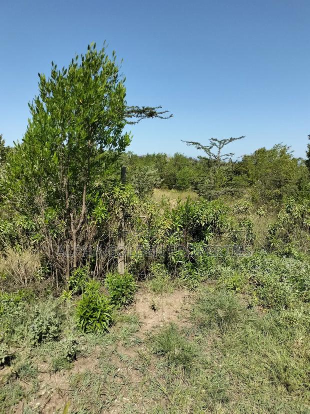 Land 1 Acre Airstrip - thumbnail 3