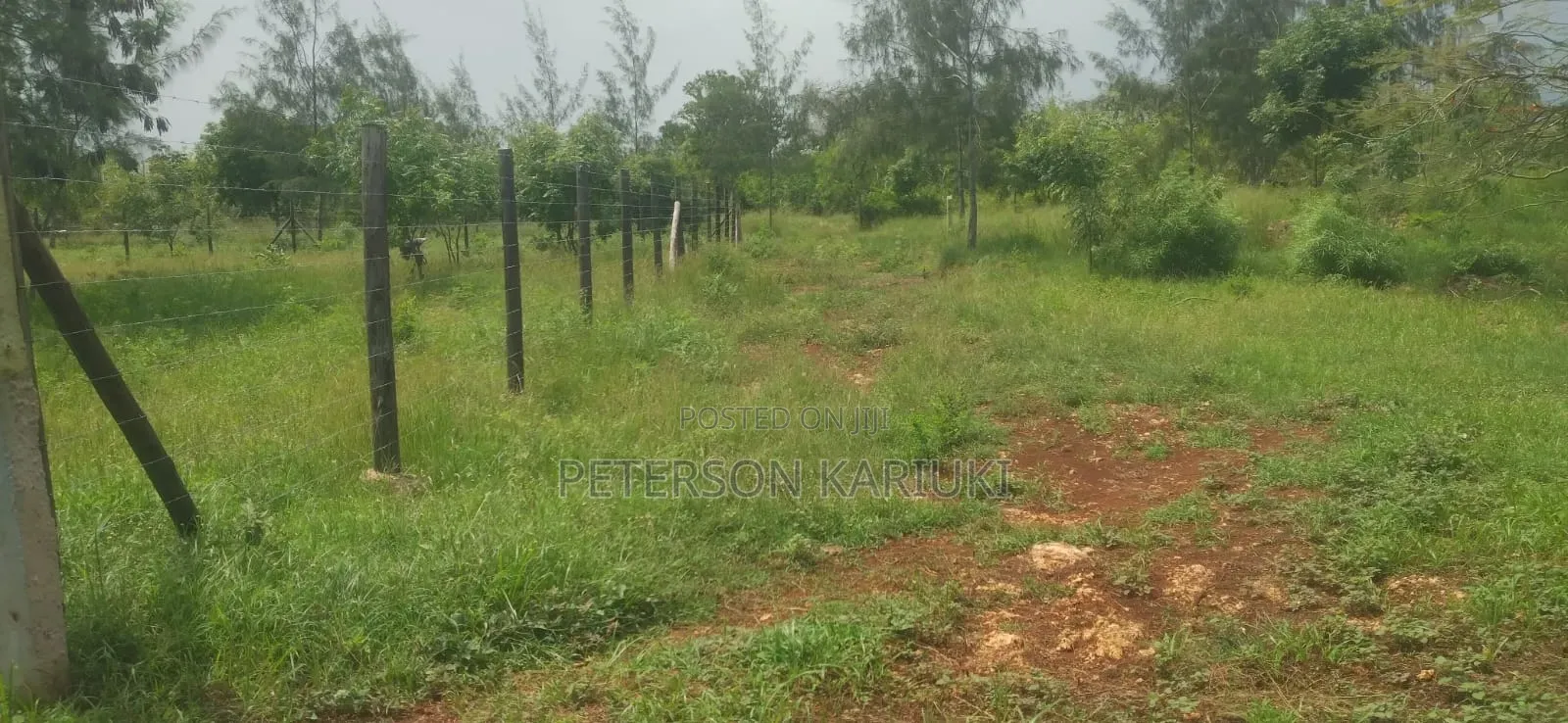 Diani Prime Plots on Sale