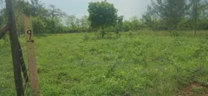 Diani Prime Plots on Sale