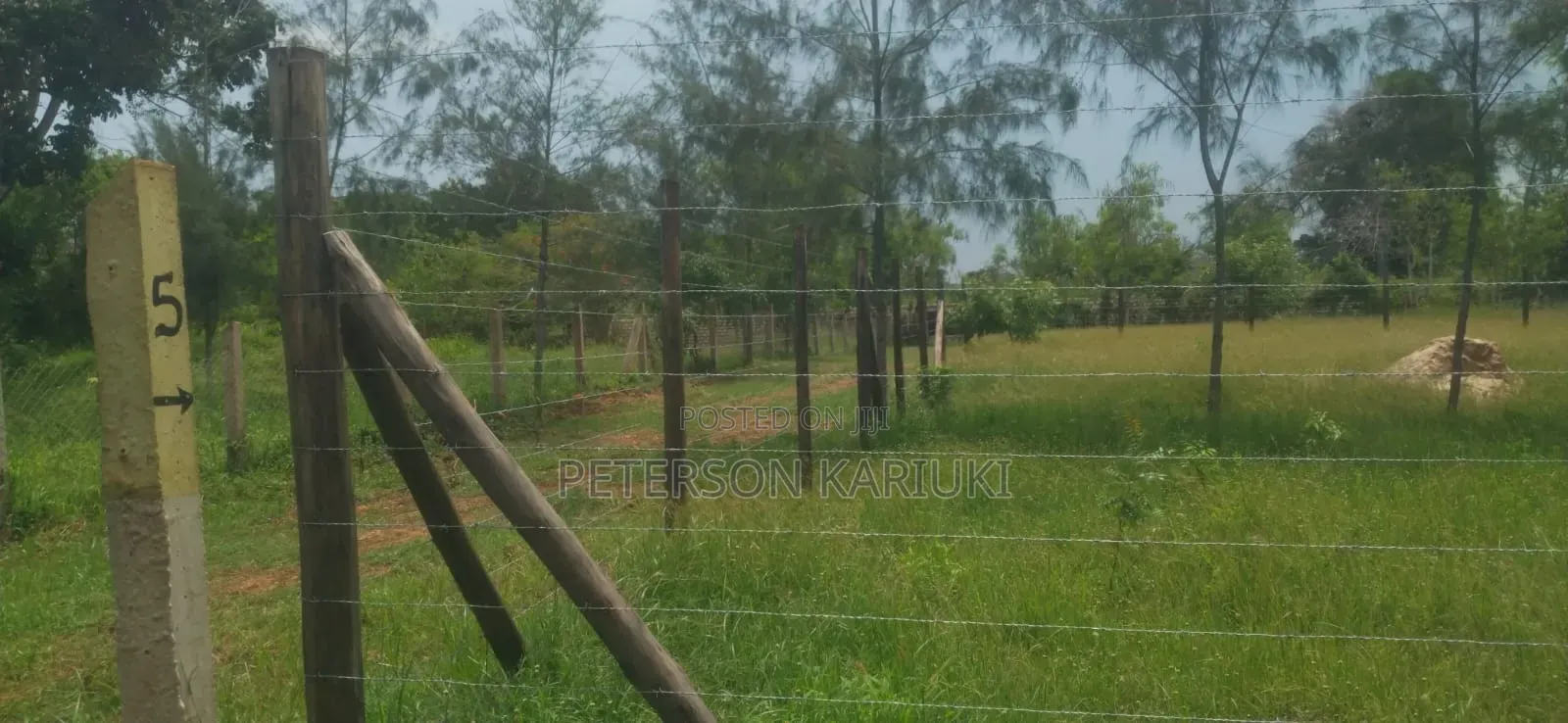 Diani Prime Plots on Sale