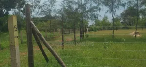 Diani Prime Plots on Sale