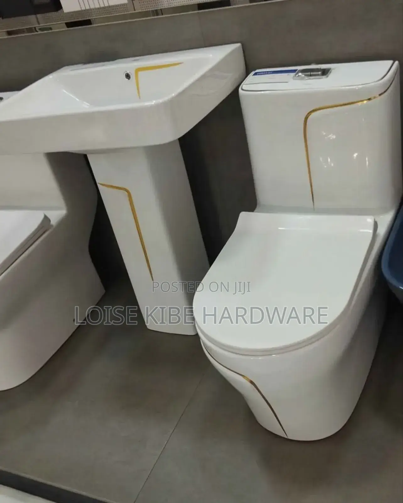 Unique Shape Toilet Available