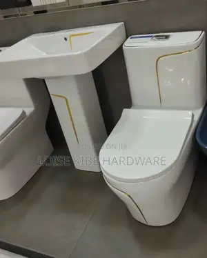 Unique Shape Toilet Available