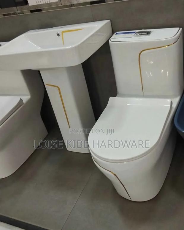 Unique Shape Toilet Available