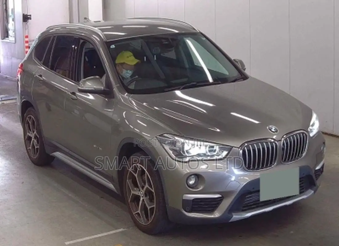 BMW X1 2018 Brown