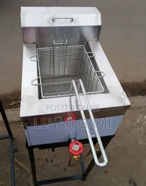 Single Gas Fryer