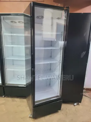 6trays Min Store 600litres/ Refrigerator Display