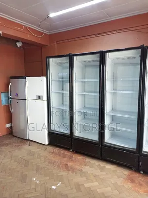 Affordable Chiller Fridge ( Well Maintained)