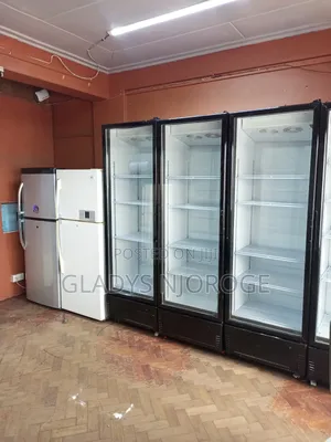Affordable Chiller Fridge ( Well Maintained)