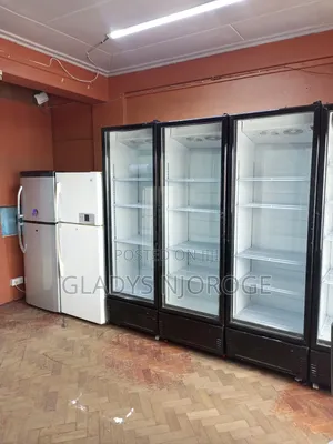Affordable Chiller Fridge ( Well Maintained)