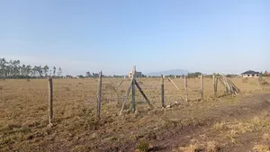 50×100 Plots Juja Farm Centre
