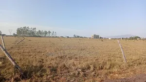 50×100 Plots Juja Farm Centre