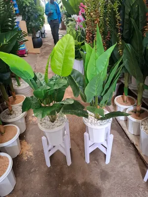 Wonderful Set of Flowers