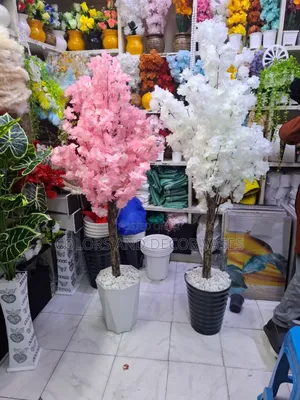 Elegant Trees for Saloon and Beauty Parlour