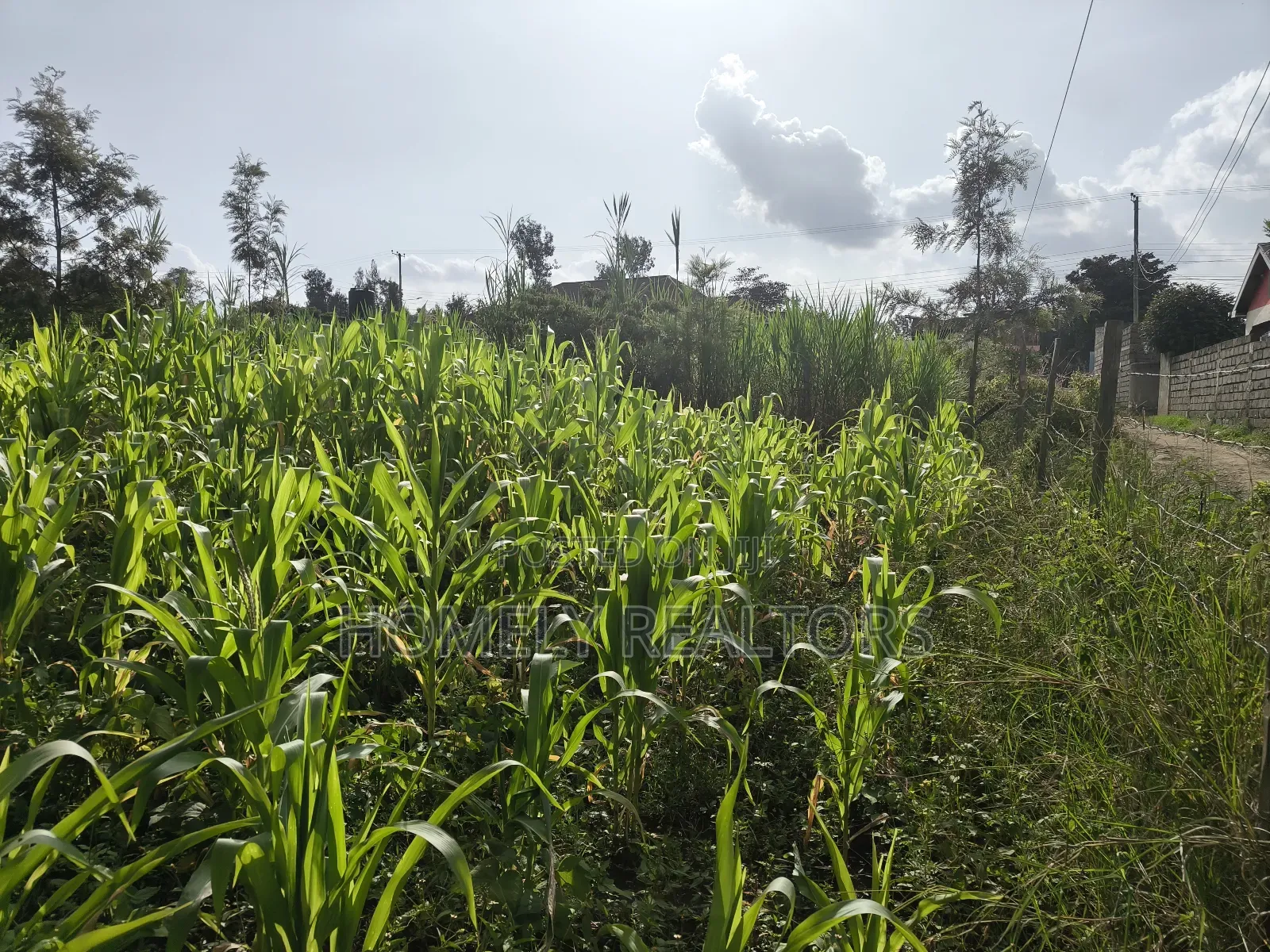 Quarter Acre Plot in Ngong, Ol Keri 50 Meters From Tarmac