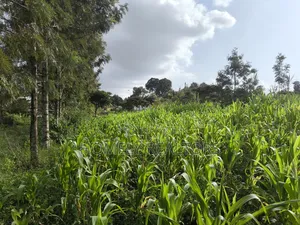 Quarter Acre Plot in Ngong, Ol Keri 50 Meters From Tarmac