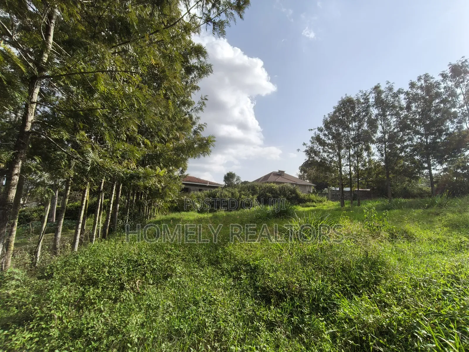 Eighth Acre Plot in Ngong's Ol Keri Near the Tarmac