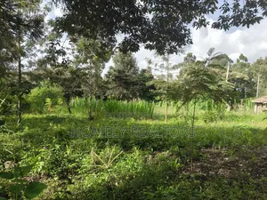 Half Acre Plot on Sale in Ngong, Ol Keri With Good View