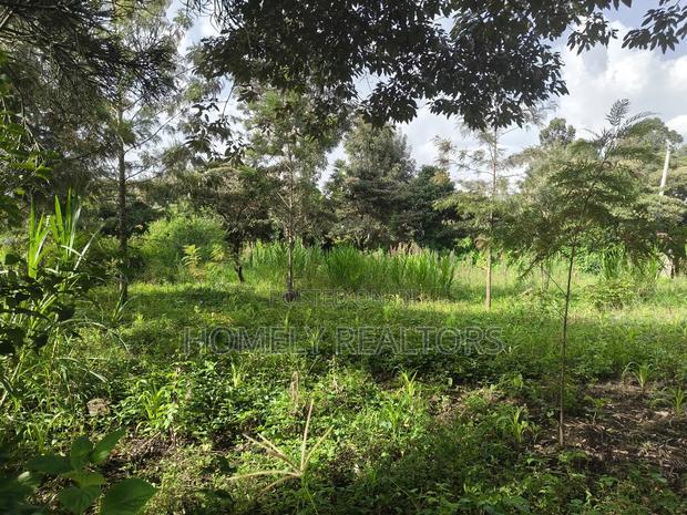 Half Acre Plot on Sale in Ngong, Ol Keri With Good View - thumbnail 4