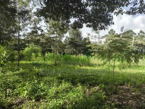 Half Acre Plot on Sale in Ngong, Ol Keri With Good View