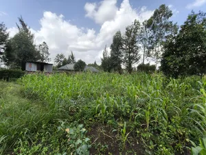 Quarter Acre Plot on Sale in Ngong, Ol Keri With a Good View