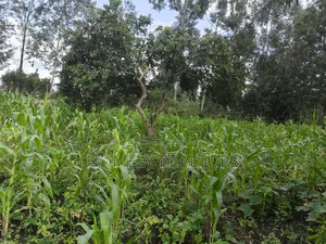 Quarter Acre Plot on Sale in Ngong, Ol Keri With a Good View