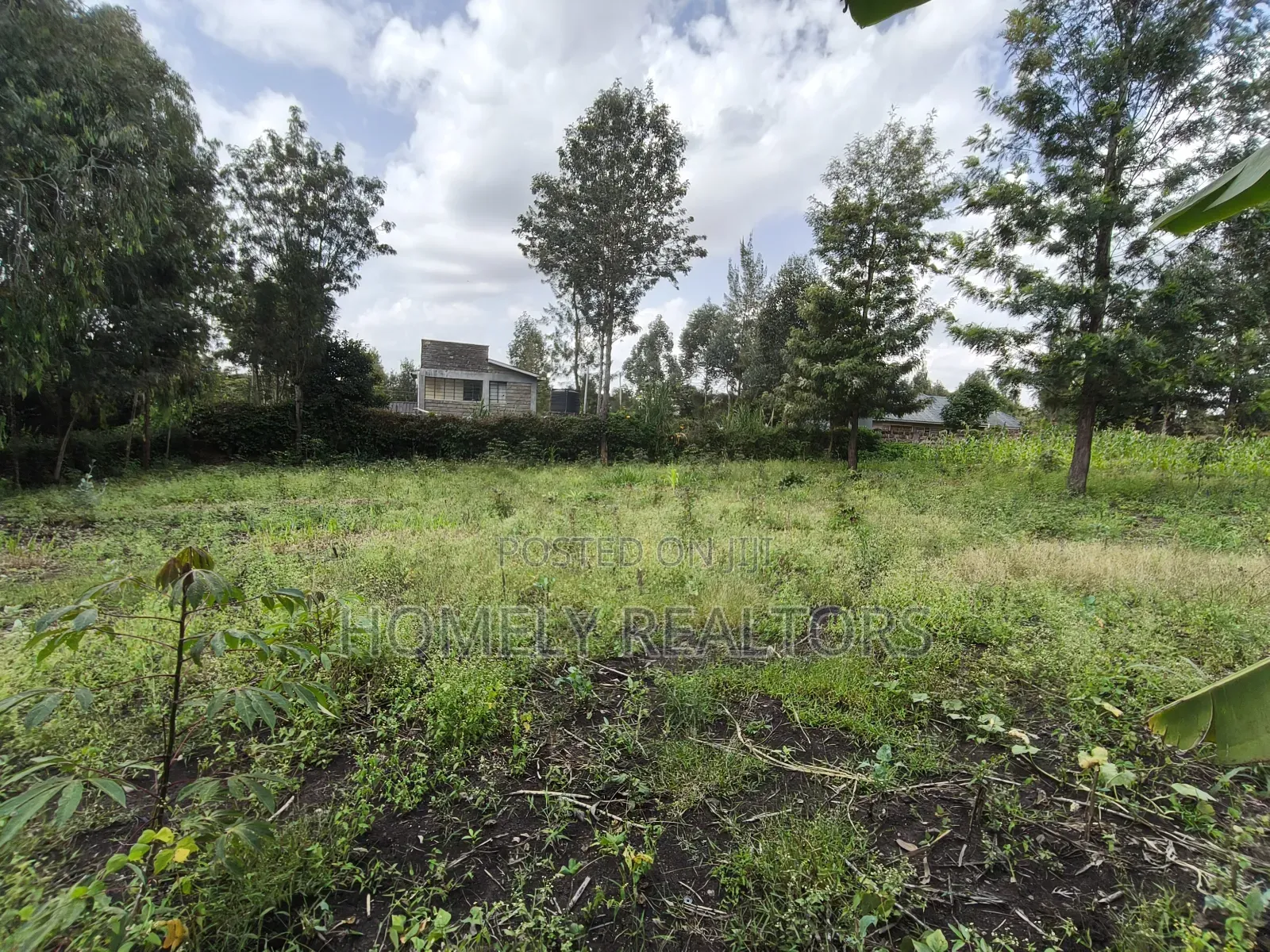Quarter Acre Plot in Ngong, Olkeri in a Growing Neighborhood