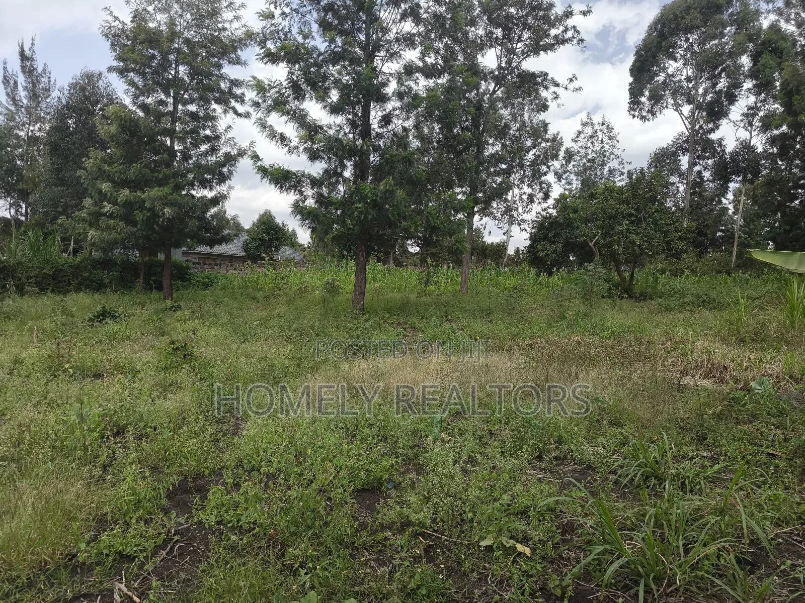 Quarter Acre Plot in Ngong, Olkeri in a Growing Neighborhood