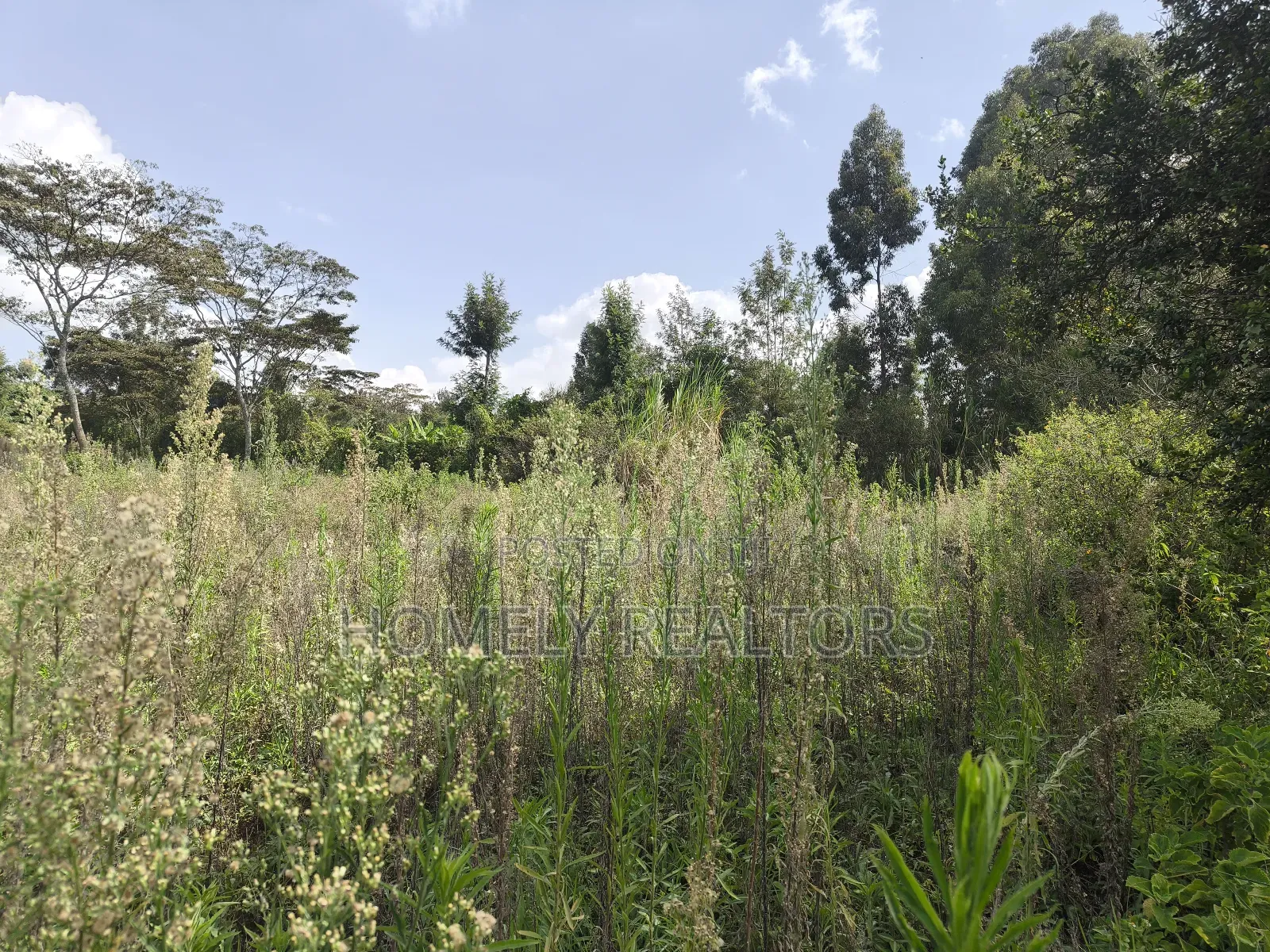 Half Acre Piece Of Land On Sale In Ngong's Ol Keri Area